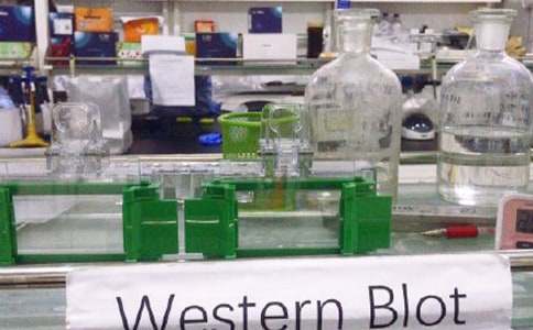 科学实验室工作总结汇编15篇