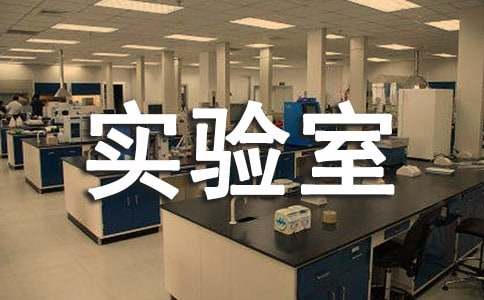 ʵ���ҹ��������ܽᣨ��ѡ20ƪ��