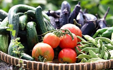 蔬菜配送合同范文合集5篇