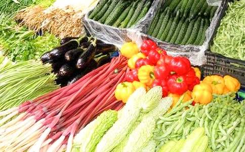 蔬菜订购合同12篇【优选】