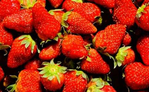 水果收购合同14篇