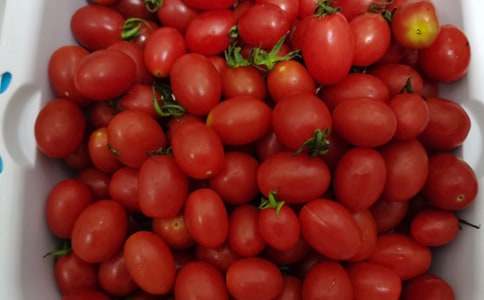 水果供货合同范本11篇