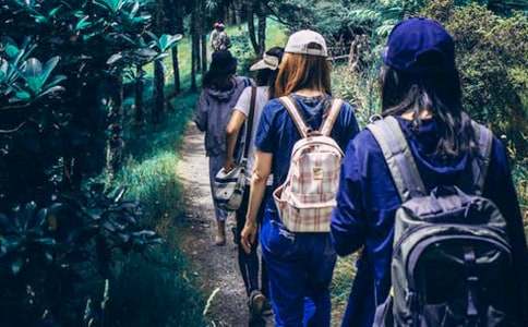 ��ʵ�ã��۸�ͬѧ������15ƪ