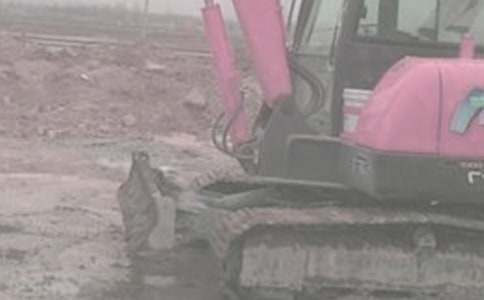 挖掘机租赁合同范本(精选16篇)