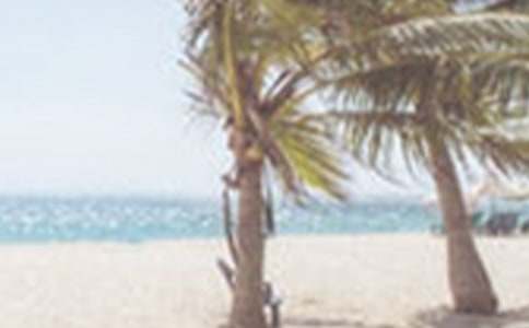 �ļ������ܽ�