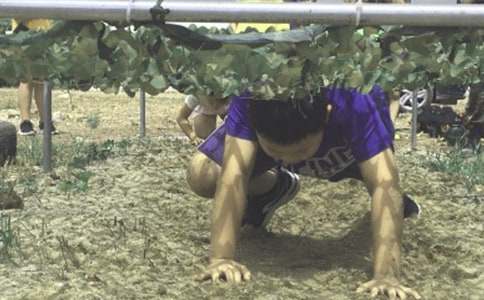 ����Ӫ������ܽ�6ƪ