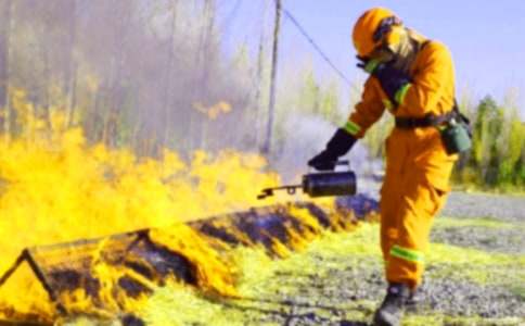 �������������ܽ�