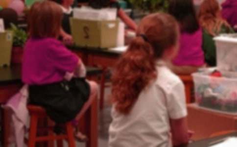 【精华】小学生表扬信4篇