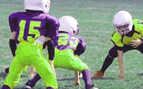 ����Сѧ�������鷶�ļ���8ƪ