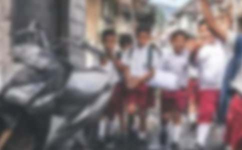 ��ѡСѧ��������ģ�����ƪ