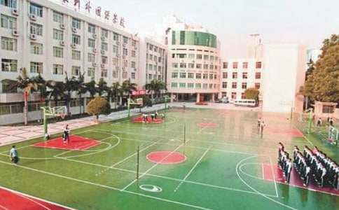 打造绿色校园工作总结