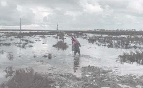 ���ﵥλ��ҵ���Ĺ����ܽ� ���͹������ܽ᷶��