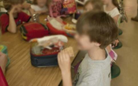 �׶�԰���Ĺ����ܽ᡾�ȡ�