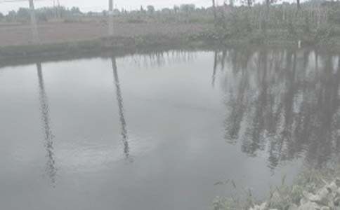 ��������Э����