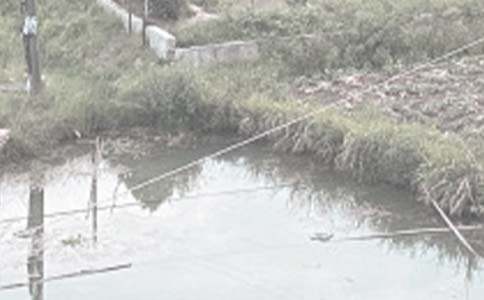 鱼塘电表申请书如何写 鱼塘用电申请书怎么写