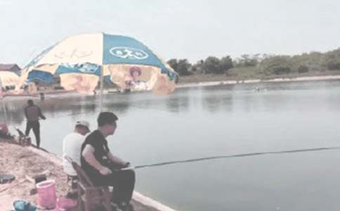 鱼塘转包的合同