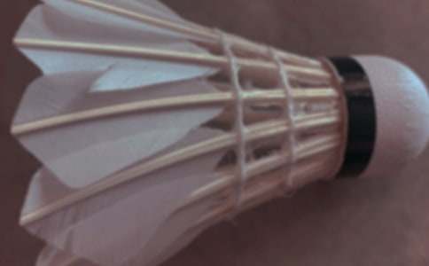 羽毛球比赛活动策划方案12篇