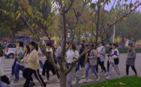 ��ټ�����(15ƪ)