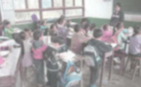 支教下乡工作总结