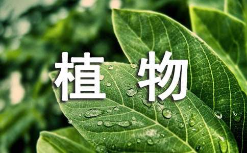 植物学实习报告汇总8篇