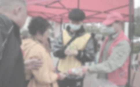 青年志愿者工作总结优秀