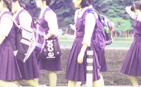 ���ڳ���ѧ��������