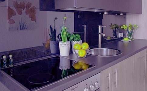 业主房屋装修委托书