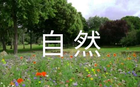 保护自然环境建议书5篇