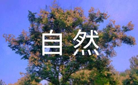 爱护自然环境建议书