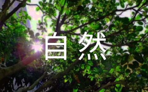 自然人出资的承诺书4篇