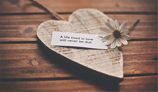 ����Э����