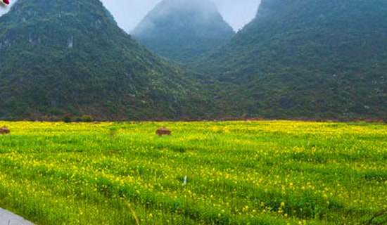 春游活动策划书(汇总15篇)