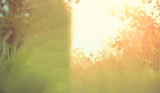 承诺唯美语录汇总(精选50句)