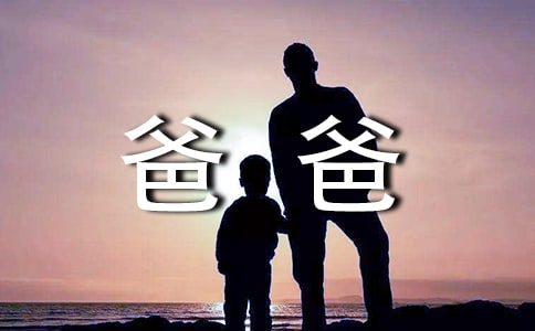 给爸爸的建议书