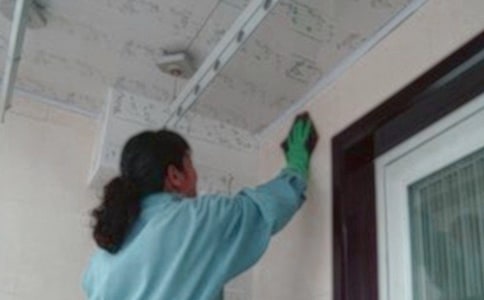 ����Ա��ͬ������15ƪ��