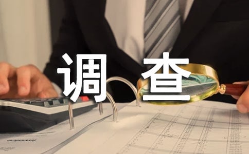 调查工作方案