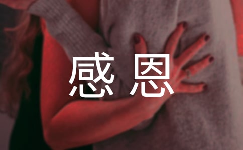 �ж���������(10ƪ)