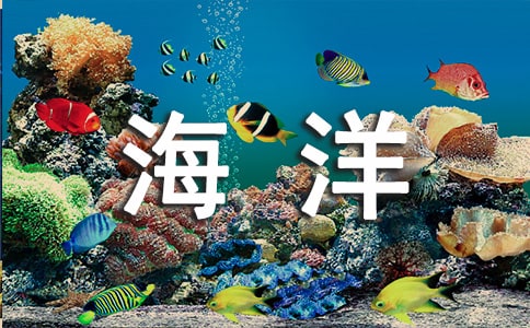 呼吁爱护海洋的建议书