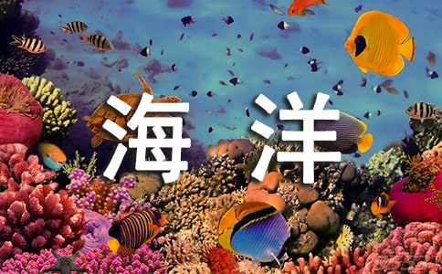 保护海洋的建议书