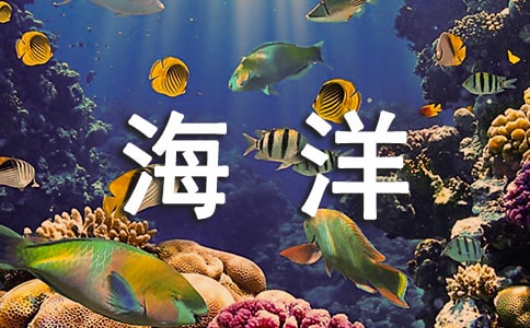 ��������Ľ�����