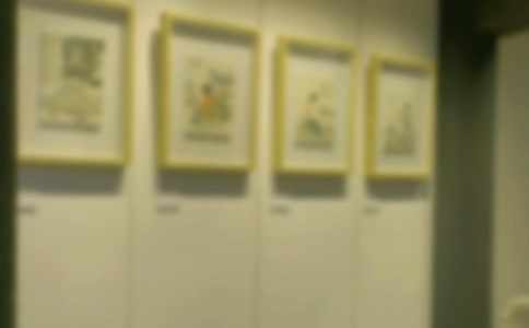 �黭չ�������뺯����