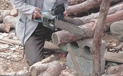ú���˰�ȫ���γ�ŵ��