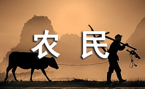 农民工工资保障承诺书
