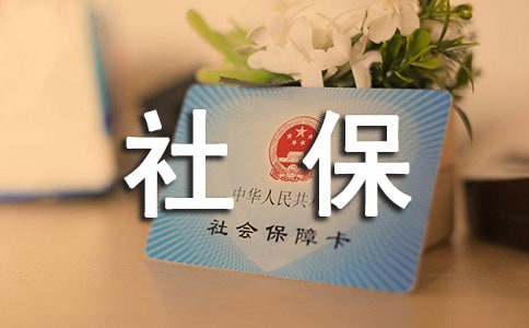���籣������ 15ƪ