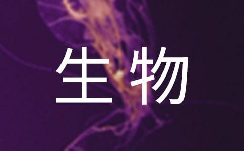 (ͨ��)���꼶�ϲ������ѧ�����ƻ�