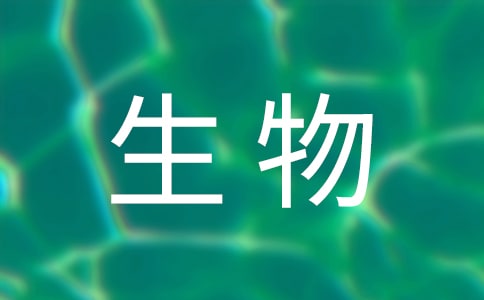 ��һ�����ѧ�����ƻ�