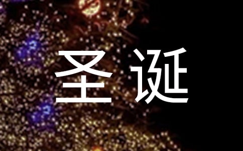 ʥ���ڲ߻��� 15ƪ