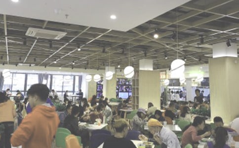 ʳ��Ա���Ĺ����ܽ�