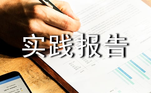社会实践报告的自我鉴定