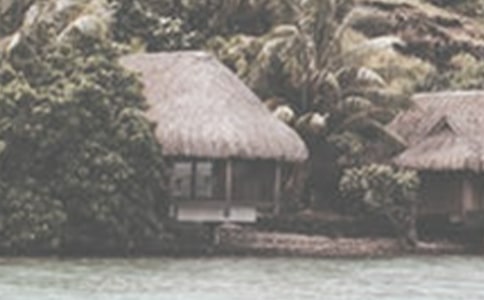 �ļ�ɭ�ַ���������